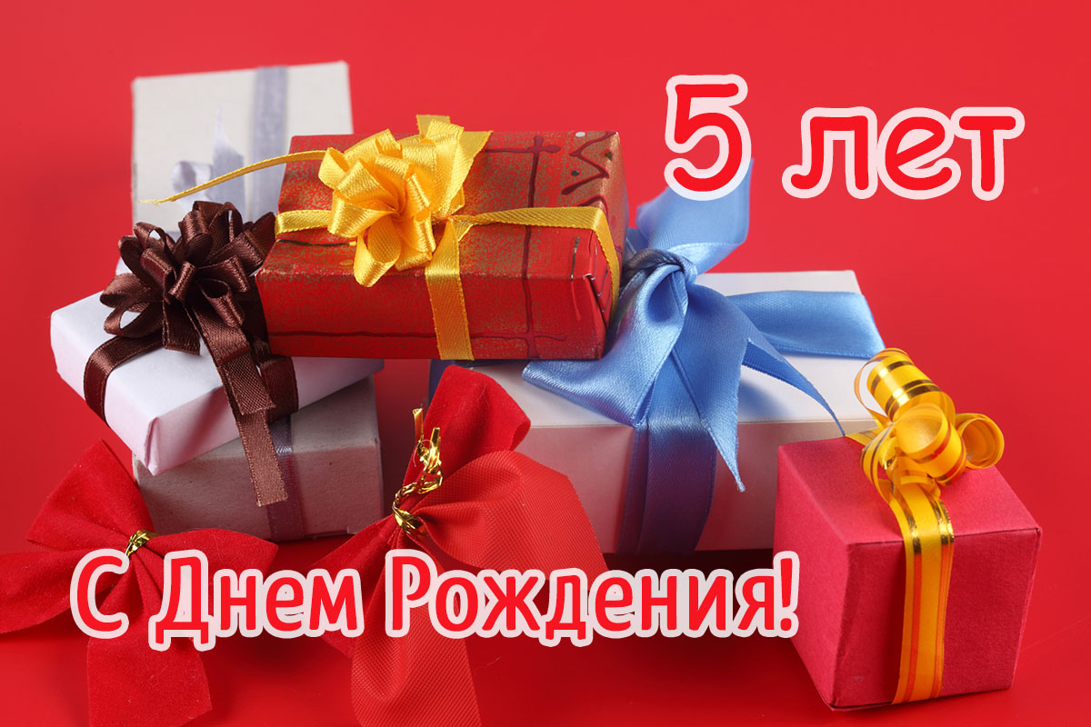 5  -    