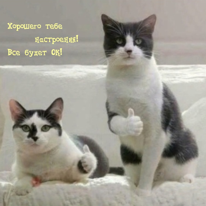 Хорошего тебе настроения! Все будет ОК!