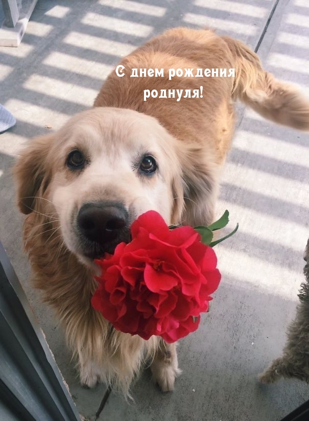 � ���� �������� �������!