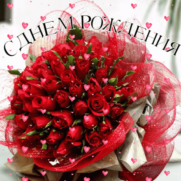 Красивый букет красных роз на день рождения
