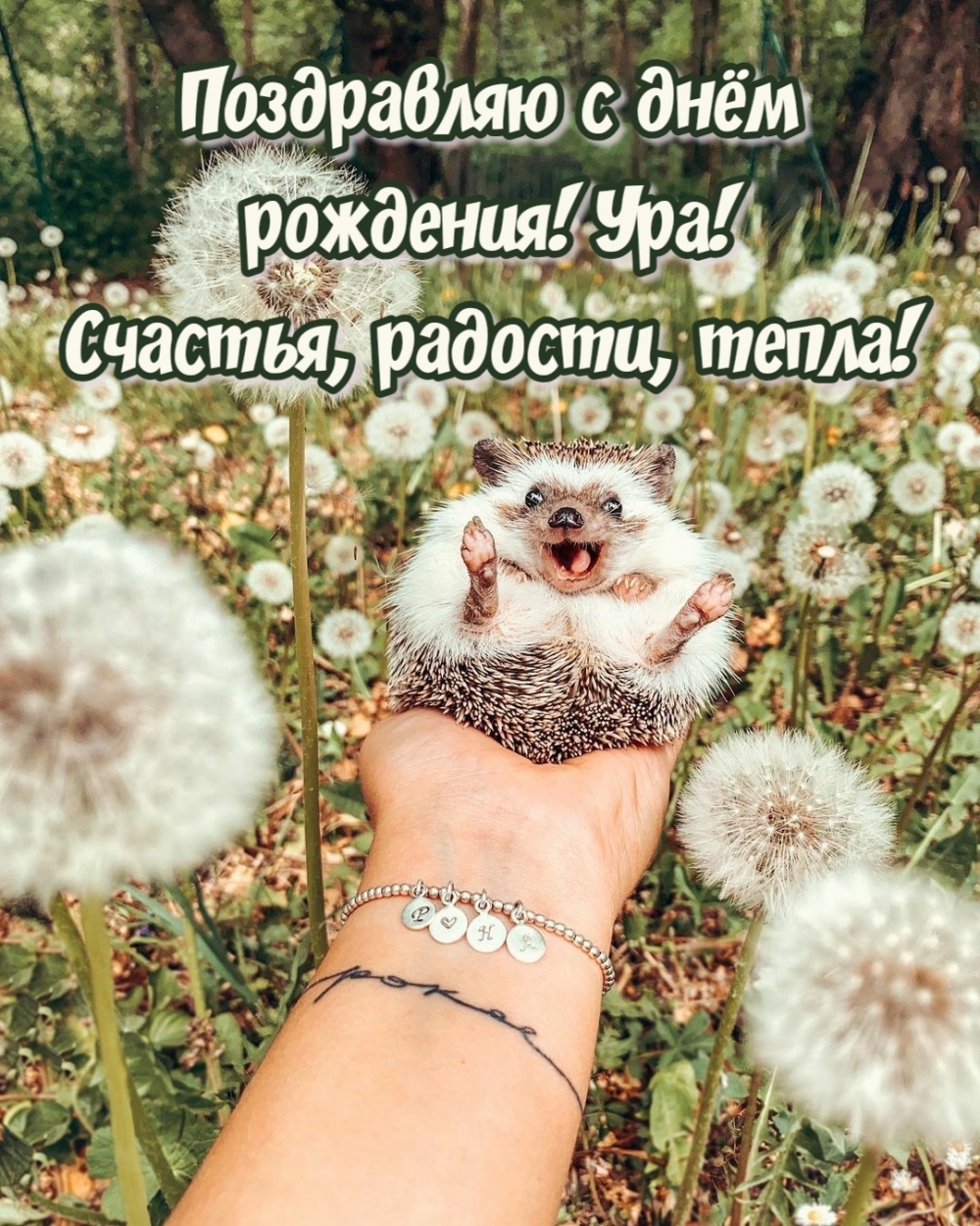    ! ! , , !