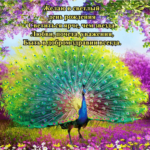 Открыть в полном размере В день рождения желаю светиться ярче, чем звезда