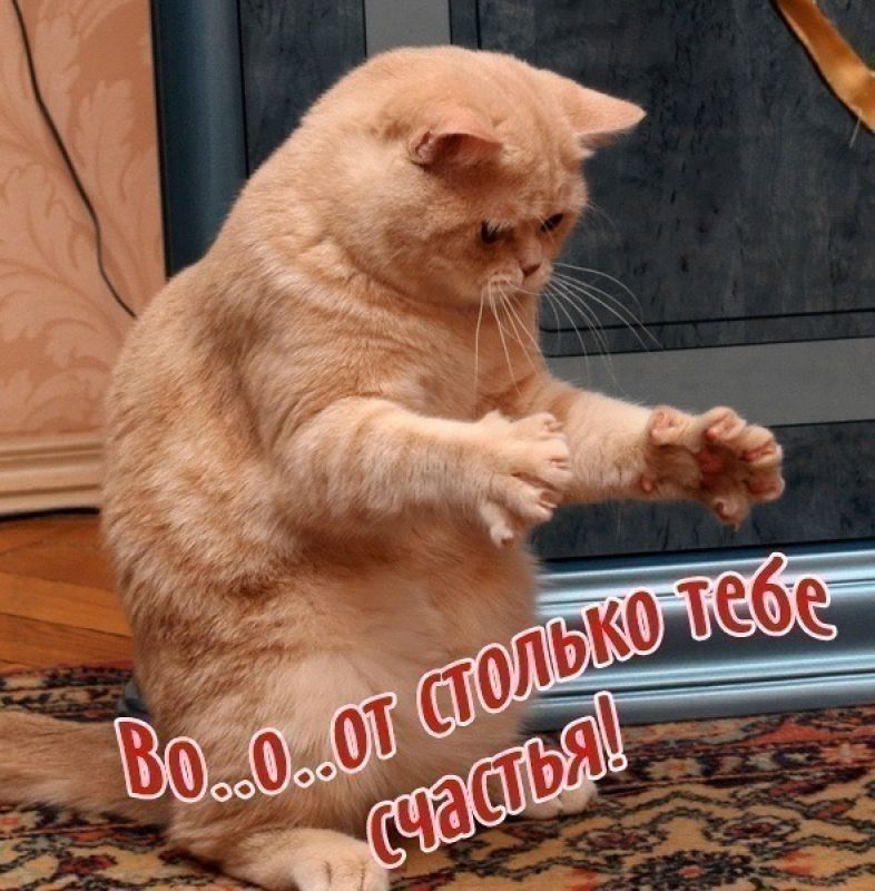    !