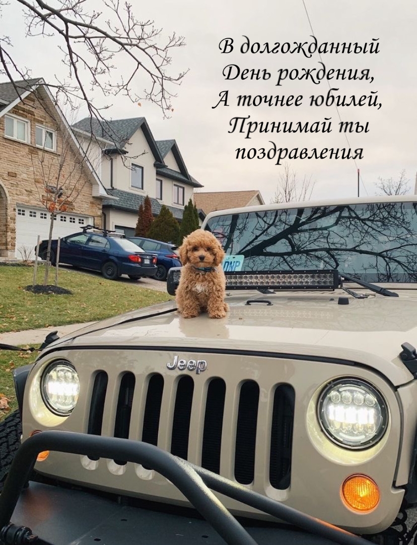 � ������������ ������, �������� �� ������������